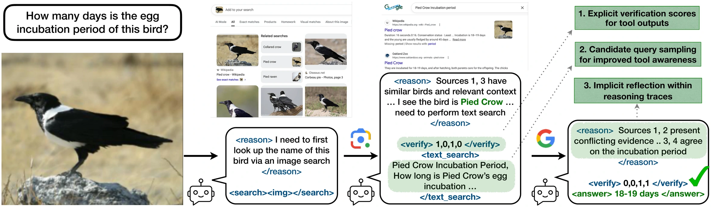 A multi-turn SVRL trajectory: the agent reasons about a bird photo, issues an image search, verifies which retrieved sources are useful, issues a text search, and answers 18-19 days.